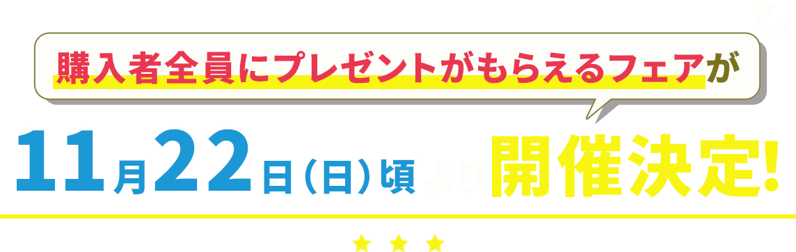 購入者全員にプレゼントがもらえるフェアが11月22日（日）より開催決定！