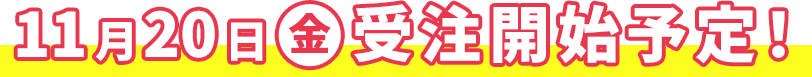 11月20日（金）受注開始予定！